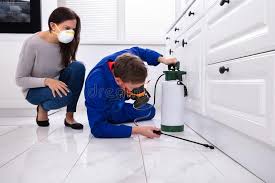 Best Fumigation Services  in Womelsdorf, PA